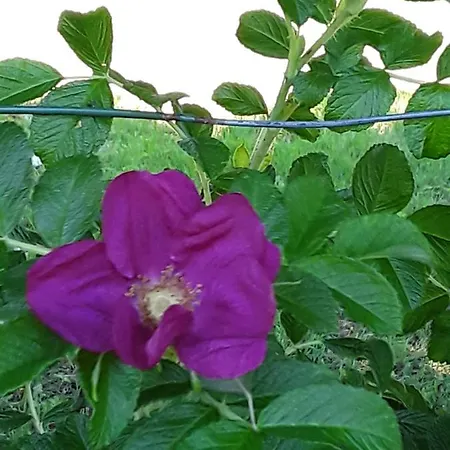 Terrasses De - Duplex 419 Malmedy