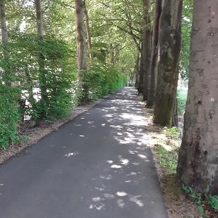 公寓 Terrasses De - Duplex 419 马尔梅迪